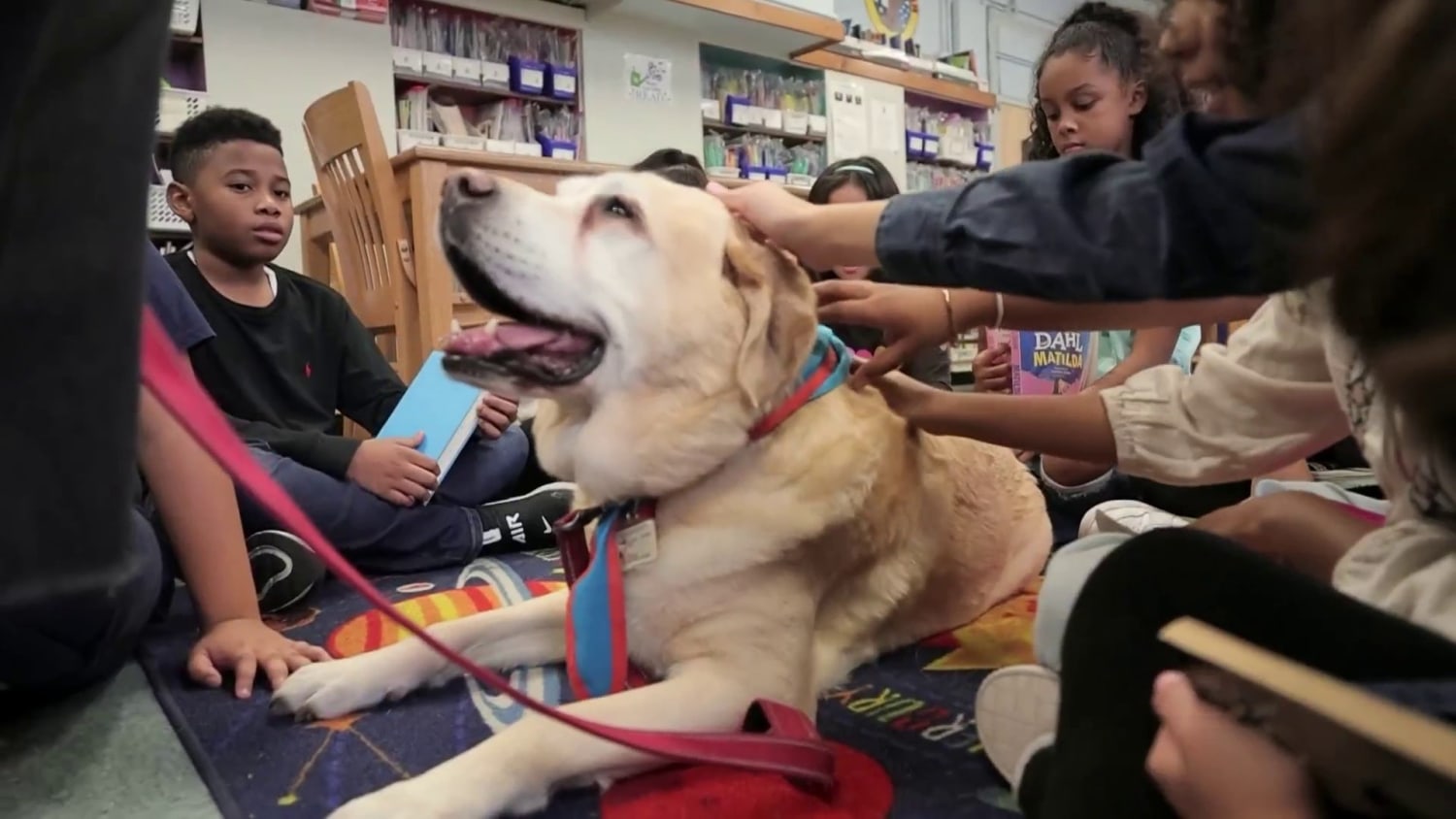 This organization trains your dog to be a helpful therapy pet