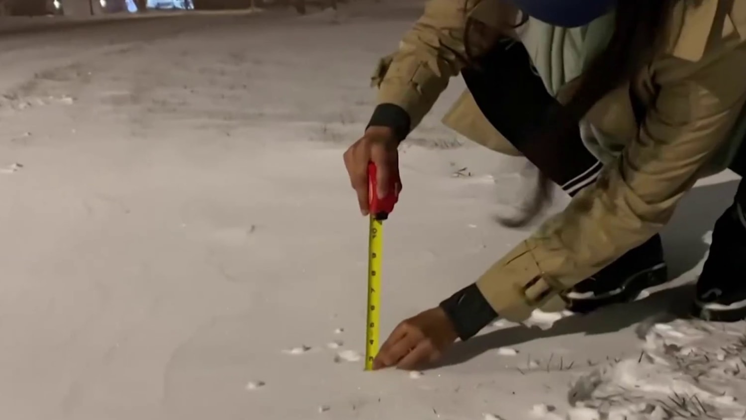 Buffalo residents rescue birds stuck in ice after historic winter storm -  Good Morning America