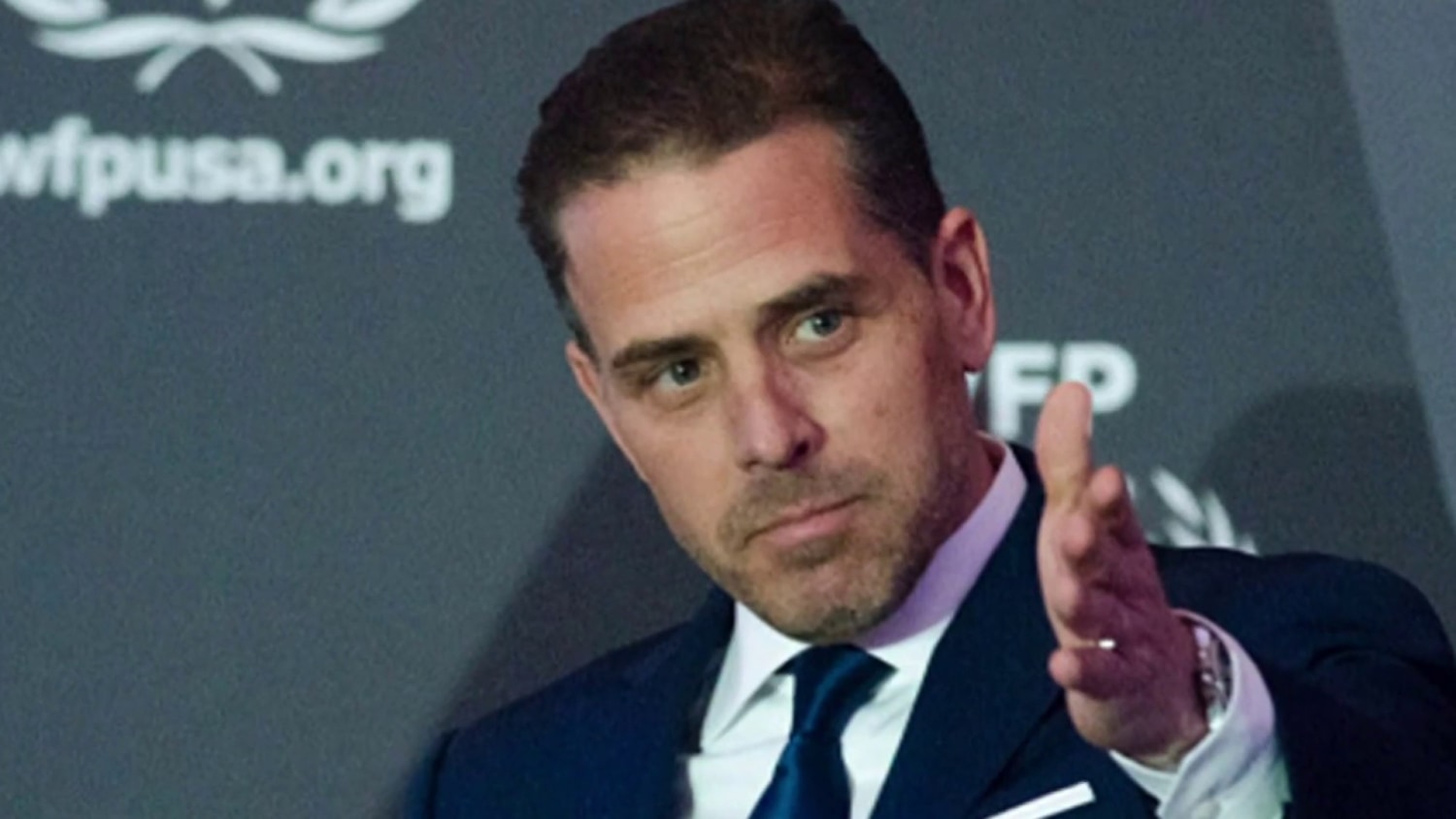 Sarah Fitzpatrick Hunter Biden legal team going on the offensive