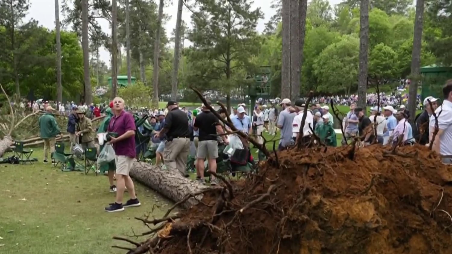 Masters leaderboard: Play suspended as huge tree falls to the ground in  scary scene, Golf, Sport