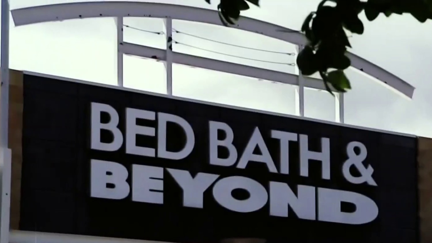 bed bath and beyond coupon