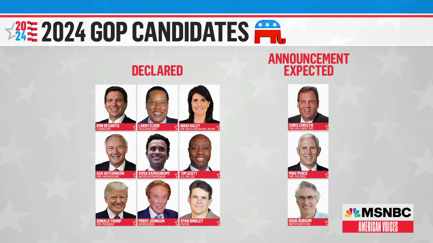 Who's running for president in 2024? All the declared candidates, US  elections 2024