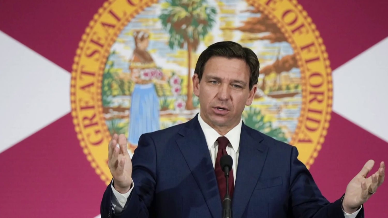 Ron DeSantis's ban on African American studies'; plus, The 1619 Project's  impact : It's Been a Minute : NPR