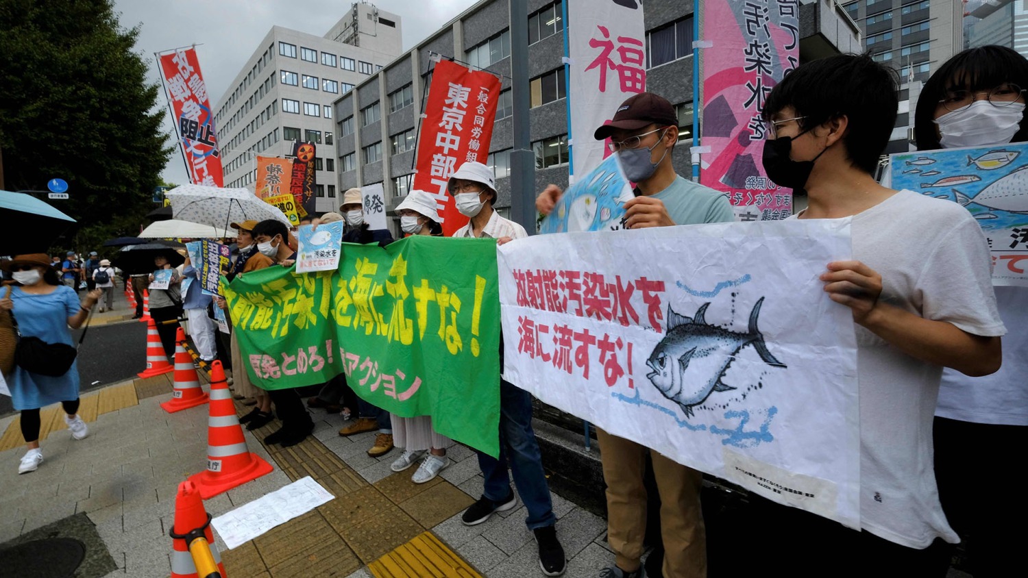 Release of radioactive water from Fukushima nuclear plant to begin