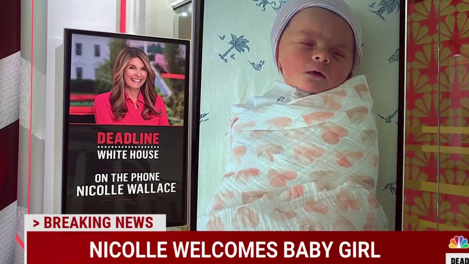 Smitten over her&rsquo;: Nicolle Wallace and family welcome a baby girl!
