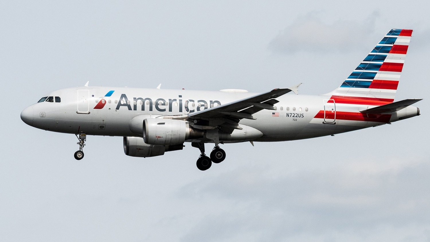 Baggage fees american airlines domestic discount