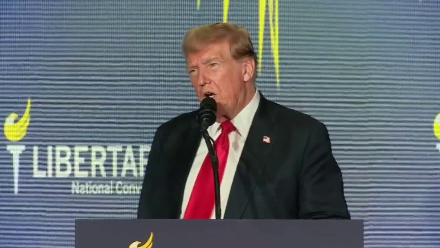 Trump booed at Libertarian convention, commits to freeing Ross Ulbricht