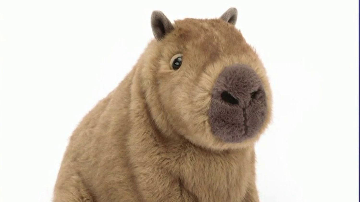 Capybara becomes holiday season's viral stuffed animal following