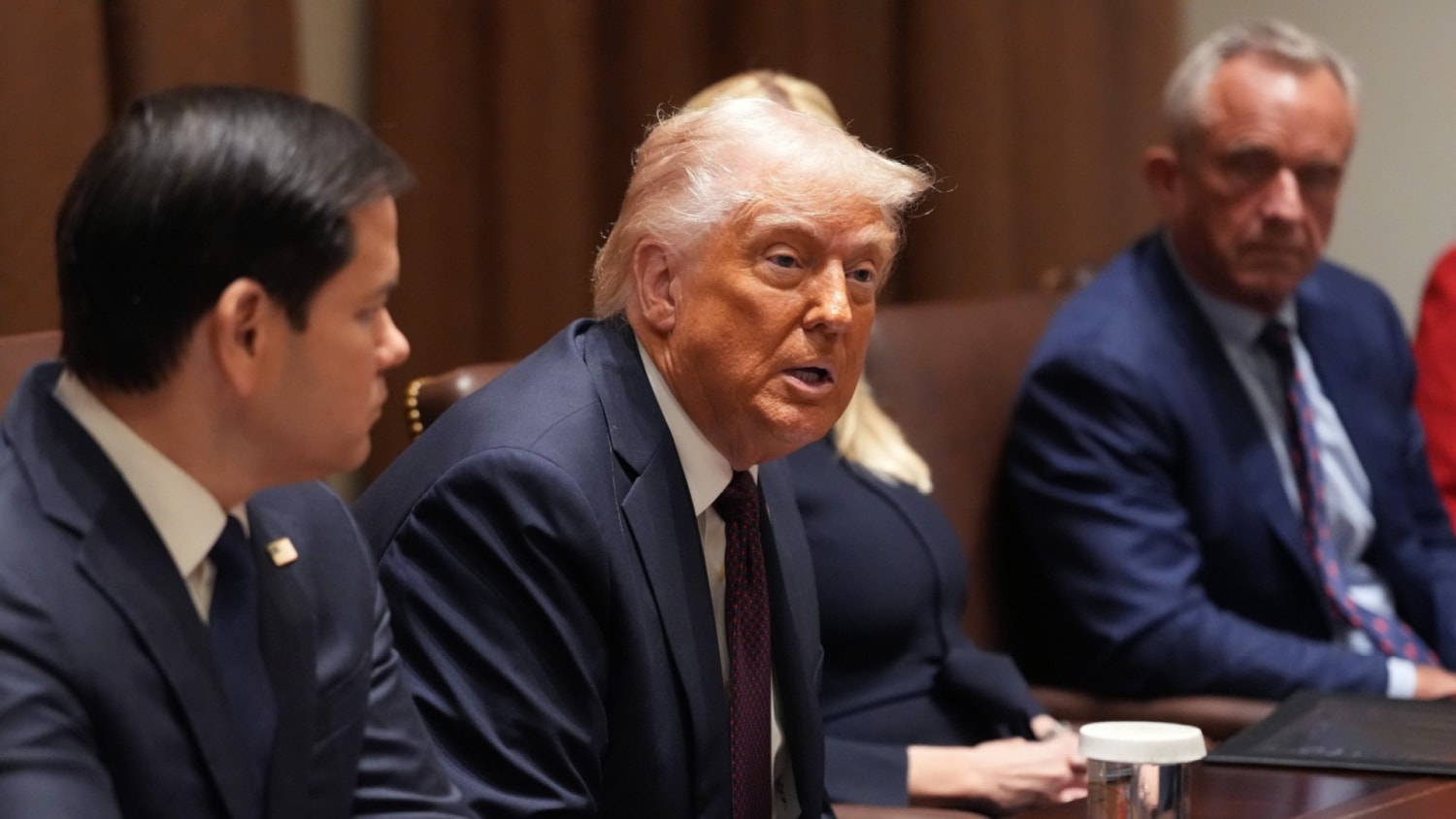 Trump discusses DOGE efforts and tariffs at Cabinet meeting with Elon Musk