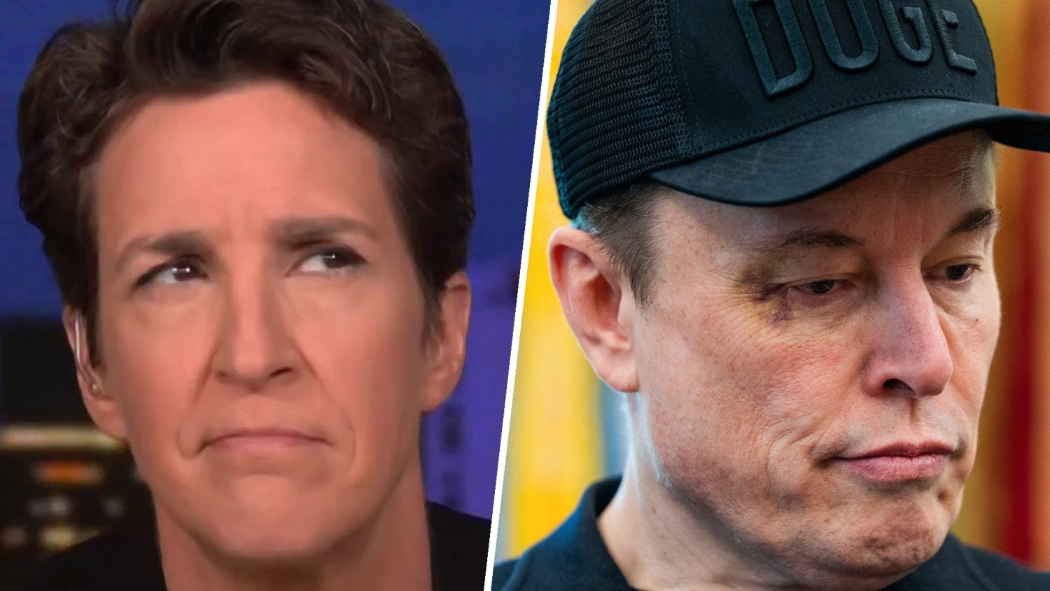 'Pure pointlessness and waste': Musk legacy seen in botched, illegal grab of independent group