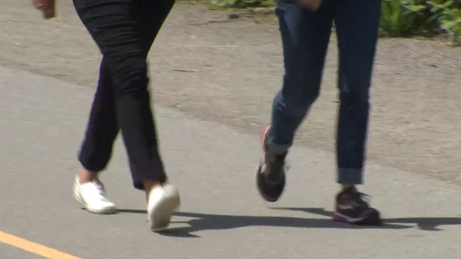 Alzheimer's may be delayed through lifestyle changes, new studies show