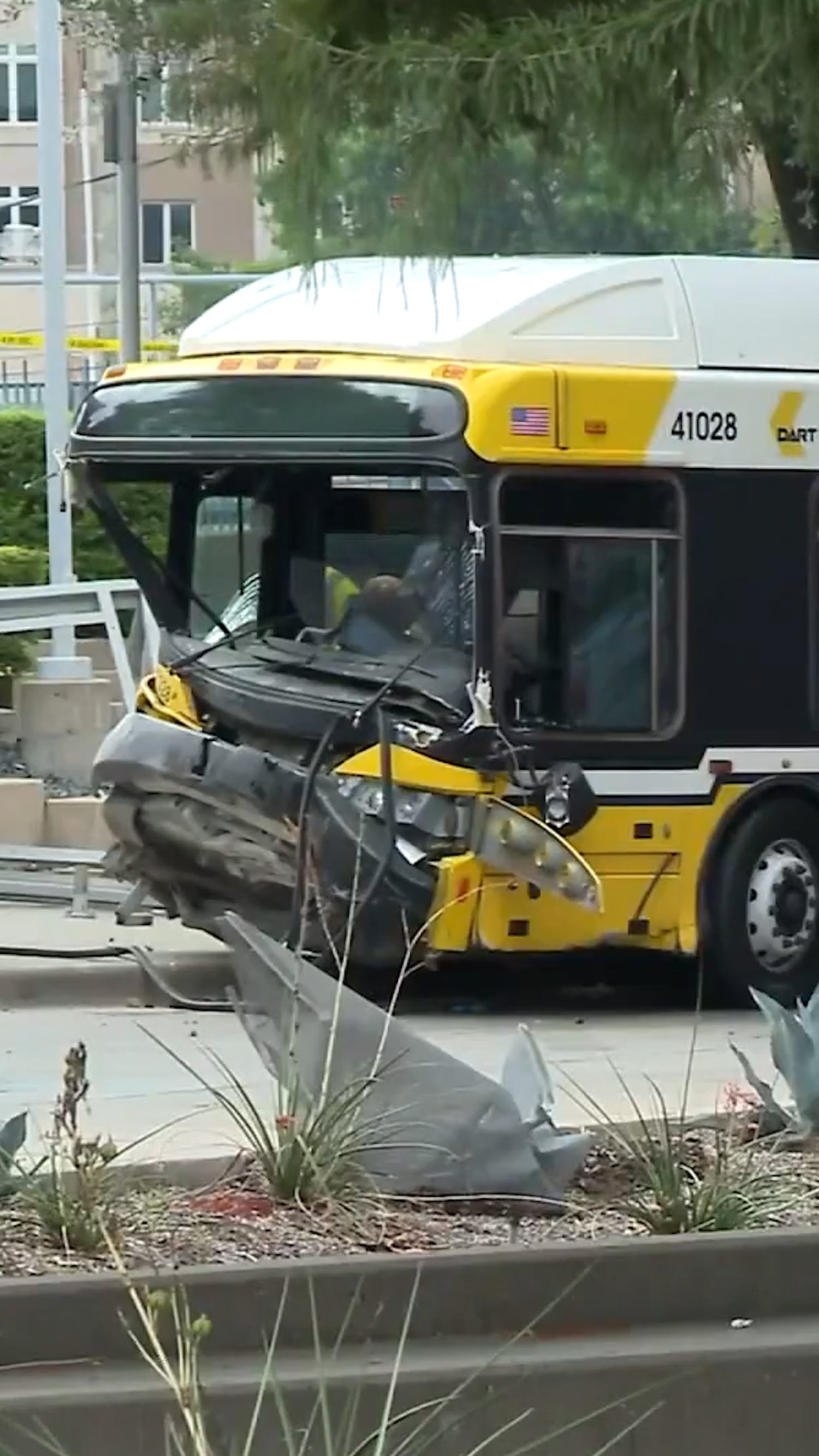 Five people injured after Dallas bus hits tree