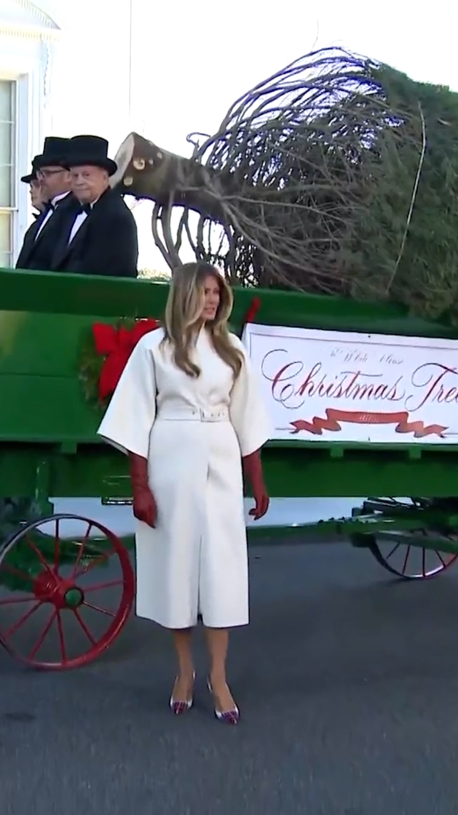 melania trump christmas tree dress Melania Trump Kicks Off Her First White House Christmas