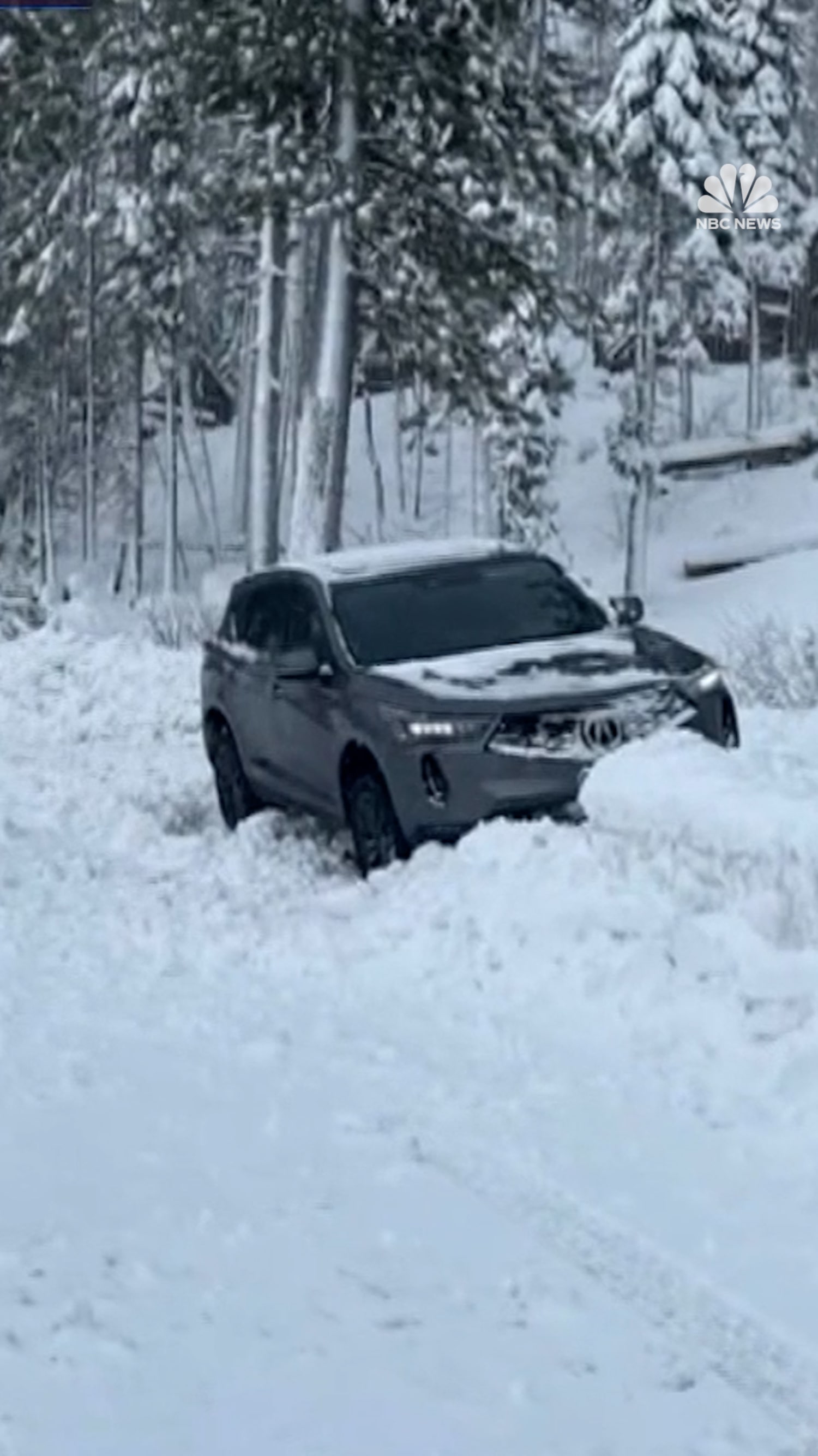 Winter storm brings travel chaos to East Coast