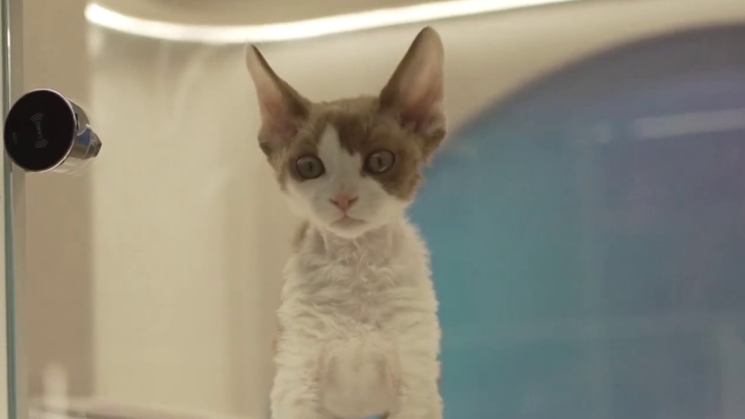 nbcnews.com - China sets lowest growth target since 1991 as economy struggles to keep momentum