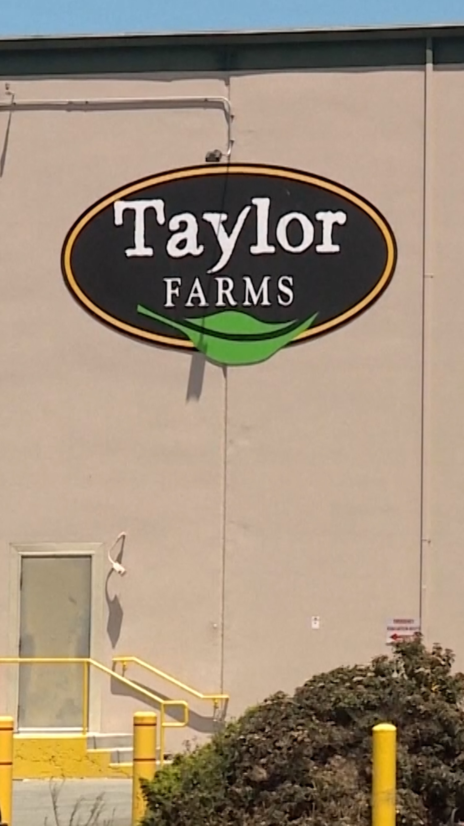 nbcnews.com - RFK Jr. says cyclosporiasis outbreak is 'under control' as Mexico casts doubt on link to Taylor Farms facility