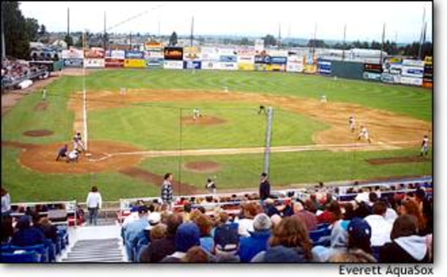 Everett AquaSox Baseball: Awesome, Affordable Family Fun