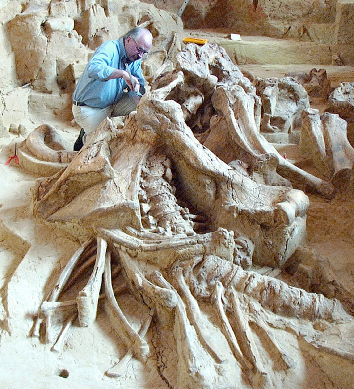 Archaeological vacations you'll really dig