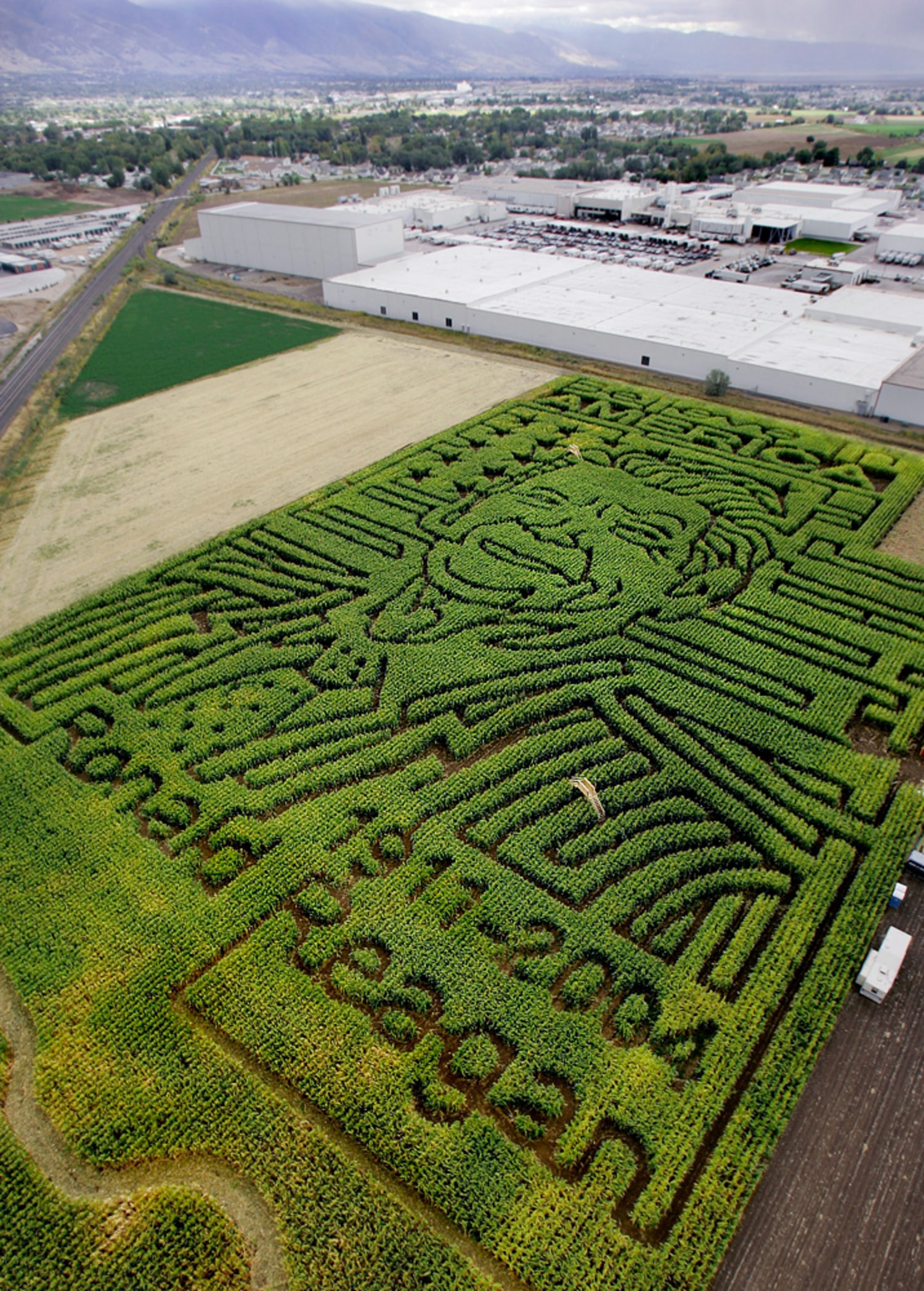 Davis outlet corn maze