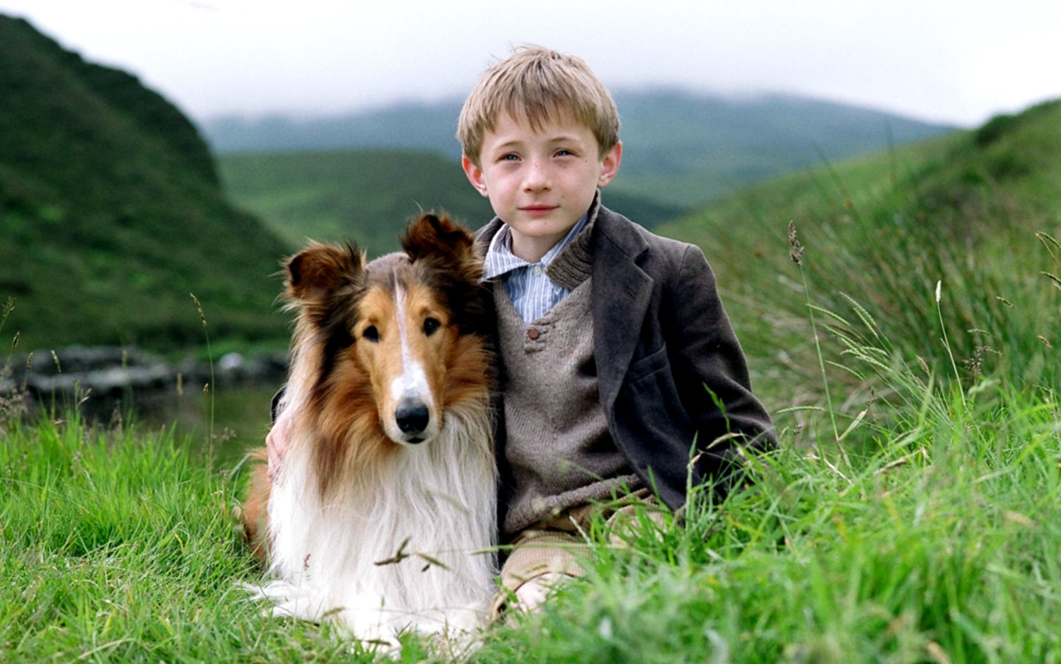 Lassie' makes a welcome return to movies
