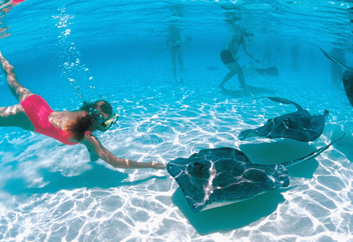 How to swim with stingrays on Bora Bora