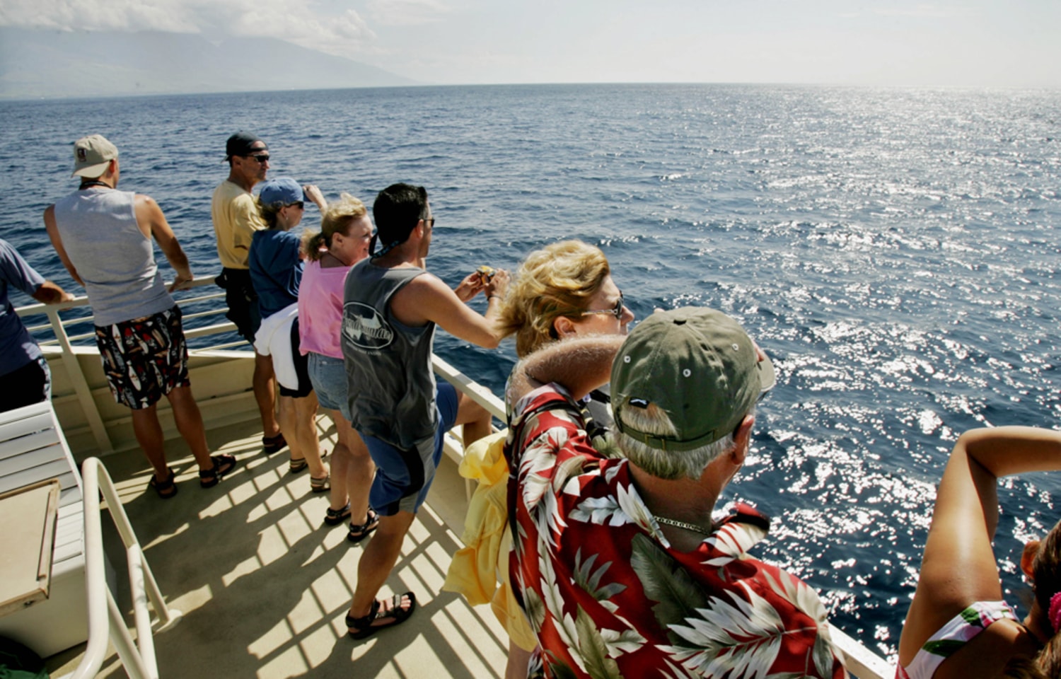 Walking cradles cheap pacific