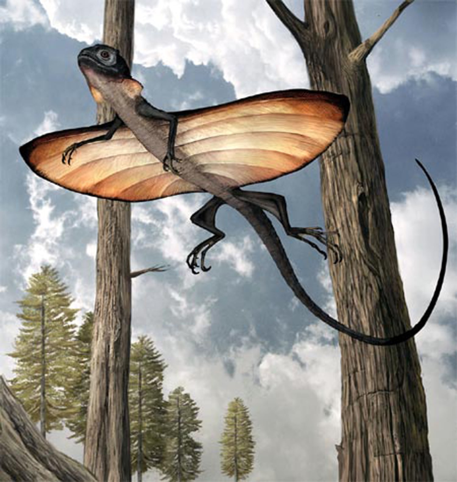 Ancient lizard glided on stretched skin