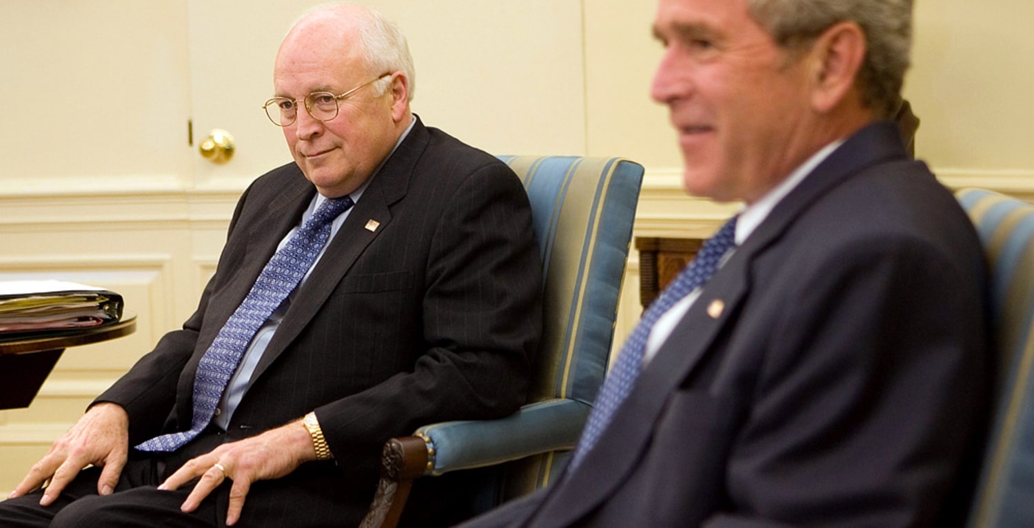 Did dick cheney exercise executive authority over the government