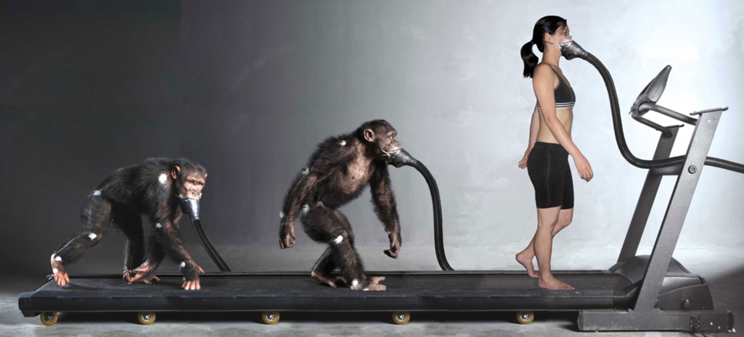 Monkey walk top exercise