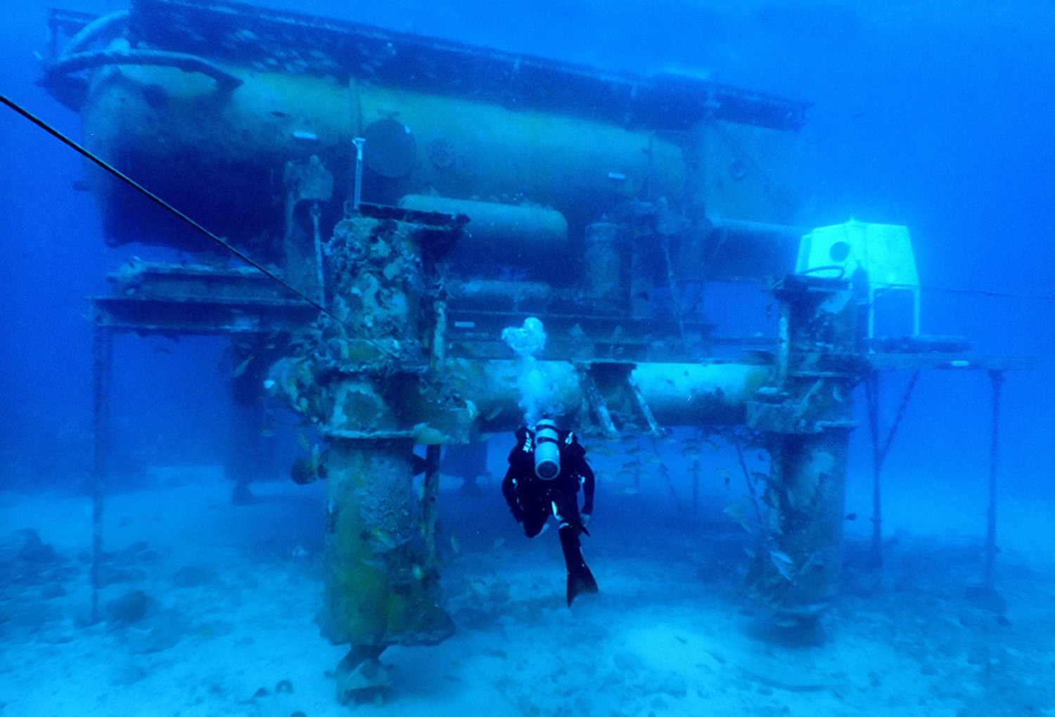 Aquanauts Live In A Scientific Fishbowl