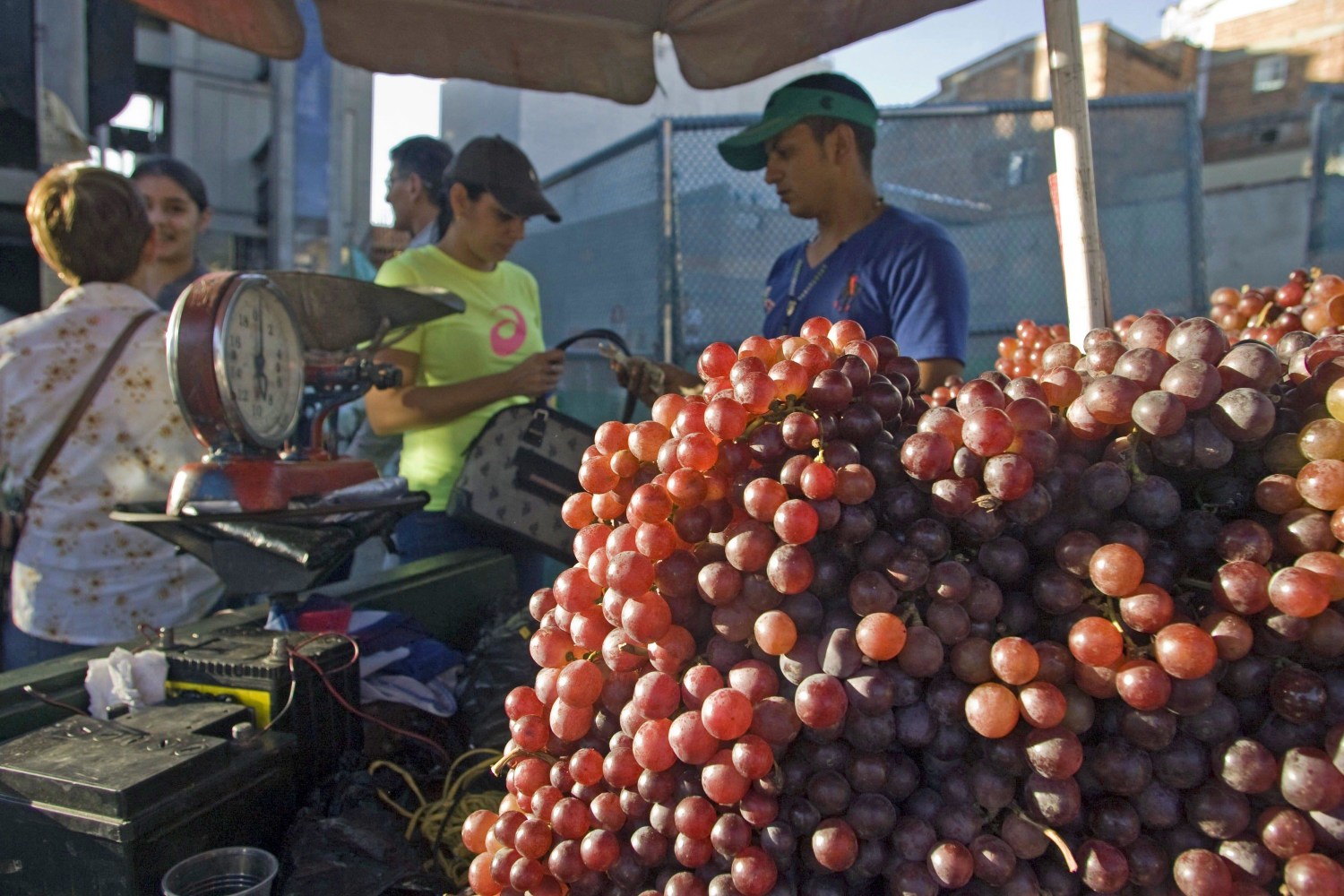 Economic green grape peeler machine