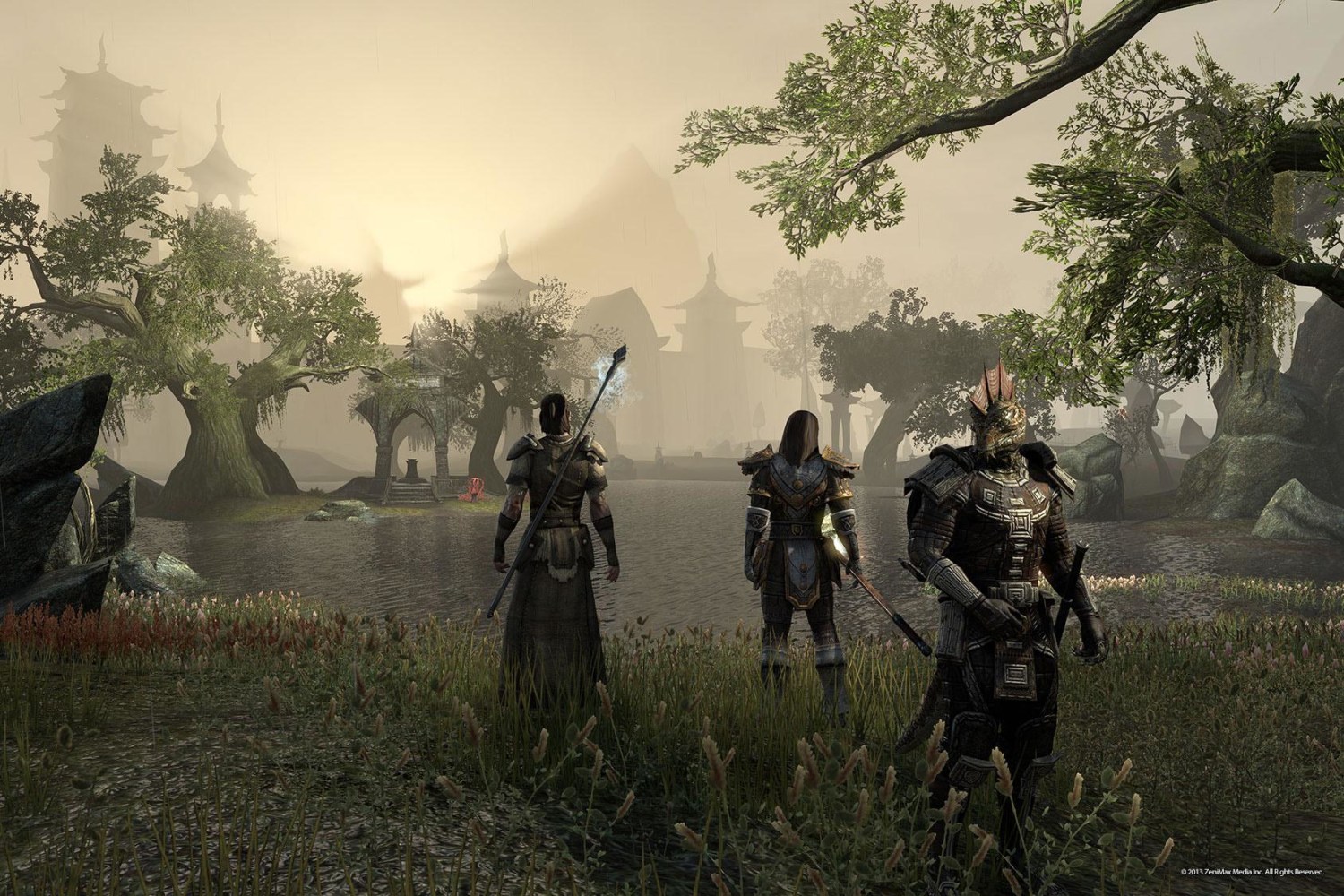 Elder Scrolls Online - Saving the ES MMO