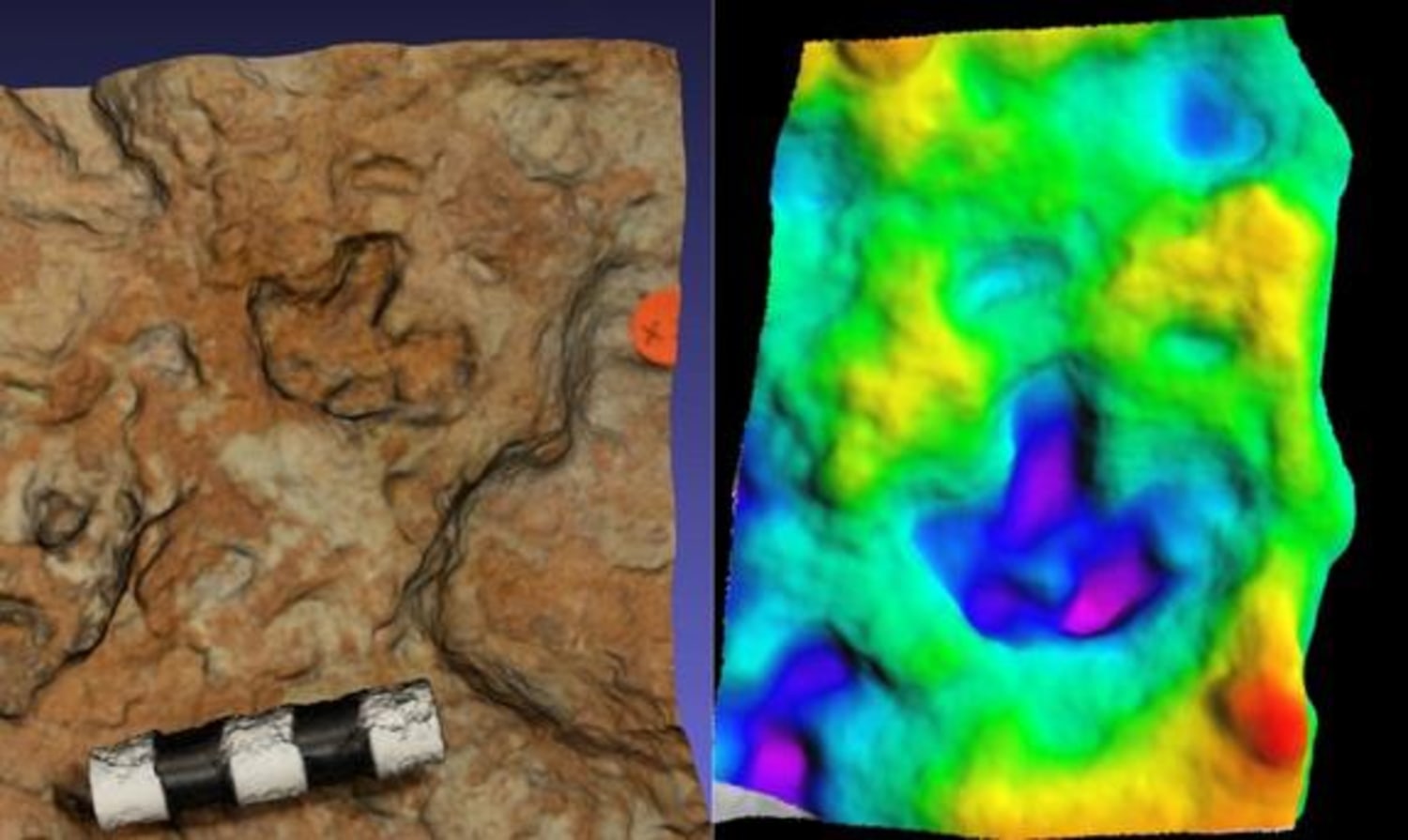Awww! Baby Stegosaurus Tracks Modeled in 3-D