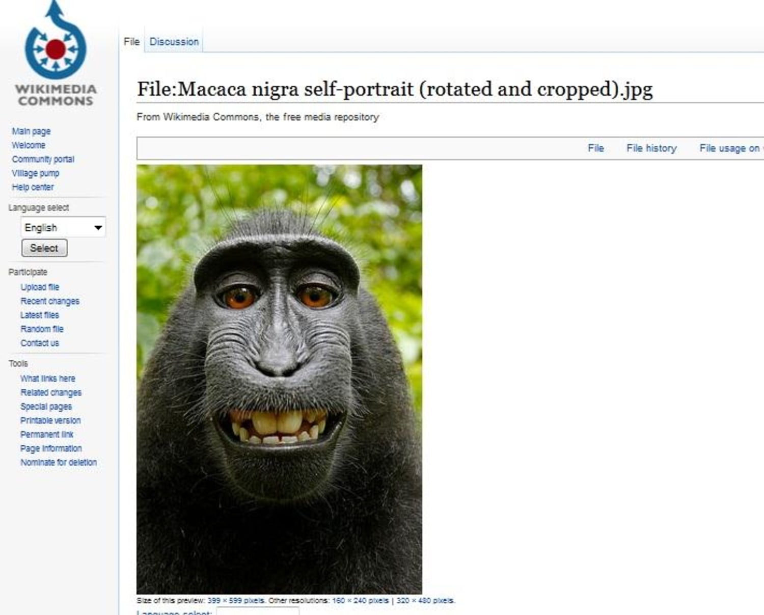 Monkey Selfie: Image Gallery (List View)