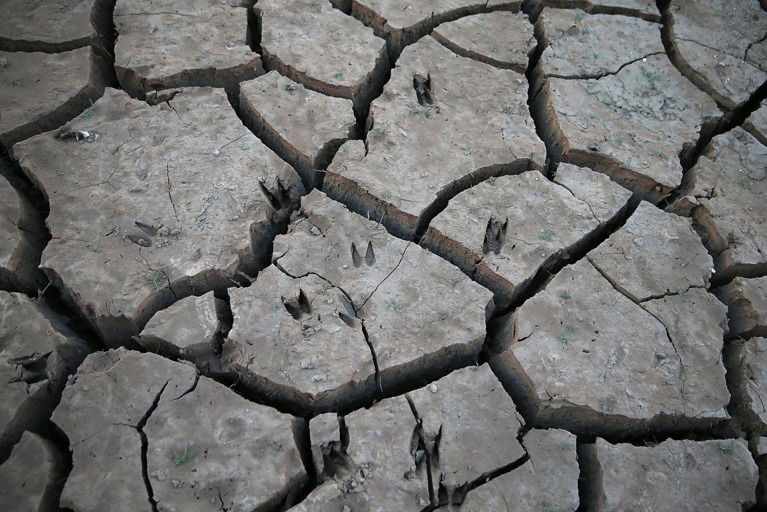 How Showering With a Bucket Helps Drought-Parched California