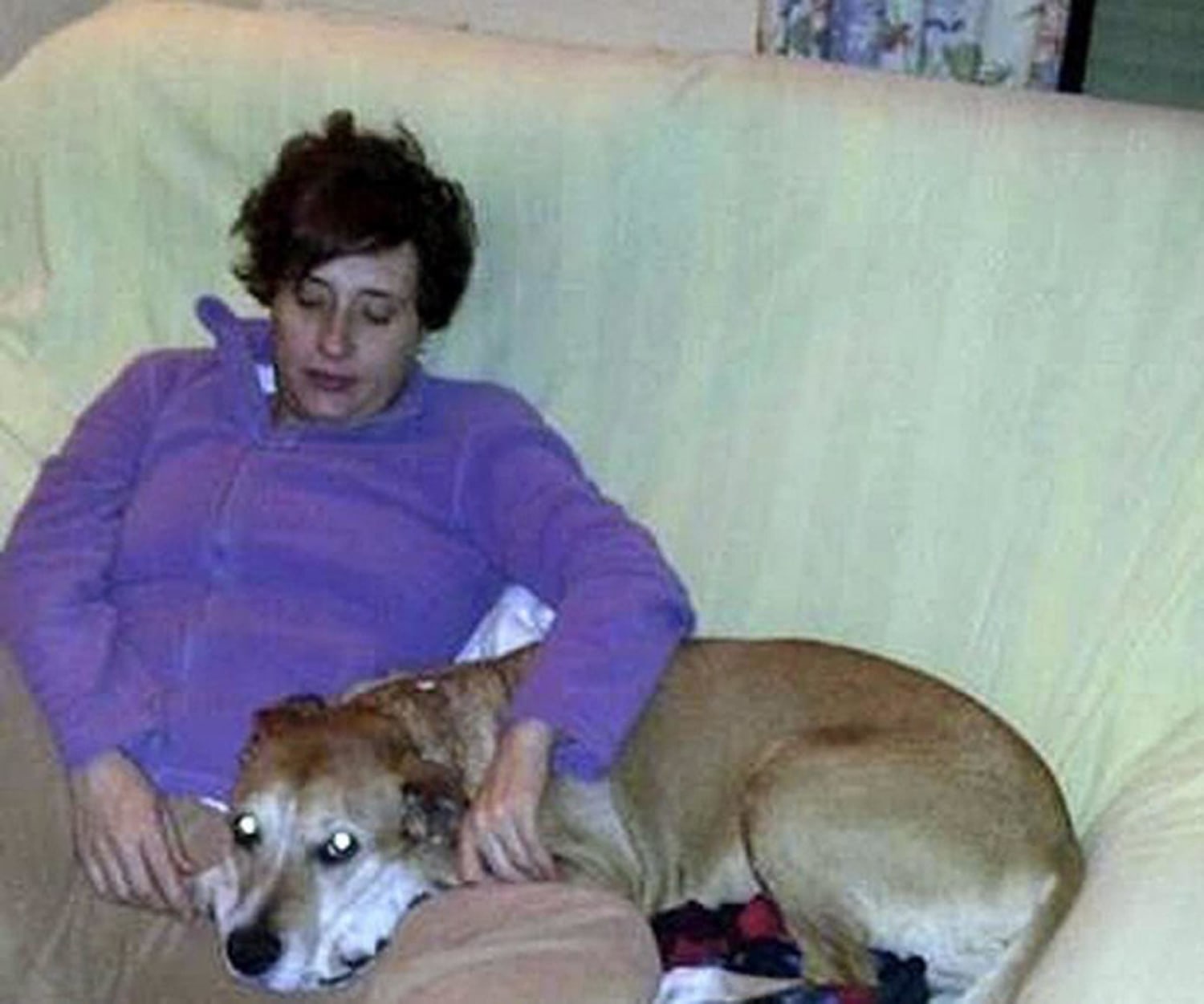 Madrid Will Kill Dog of Woman Infected With Ebola