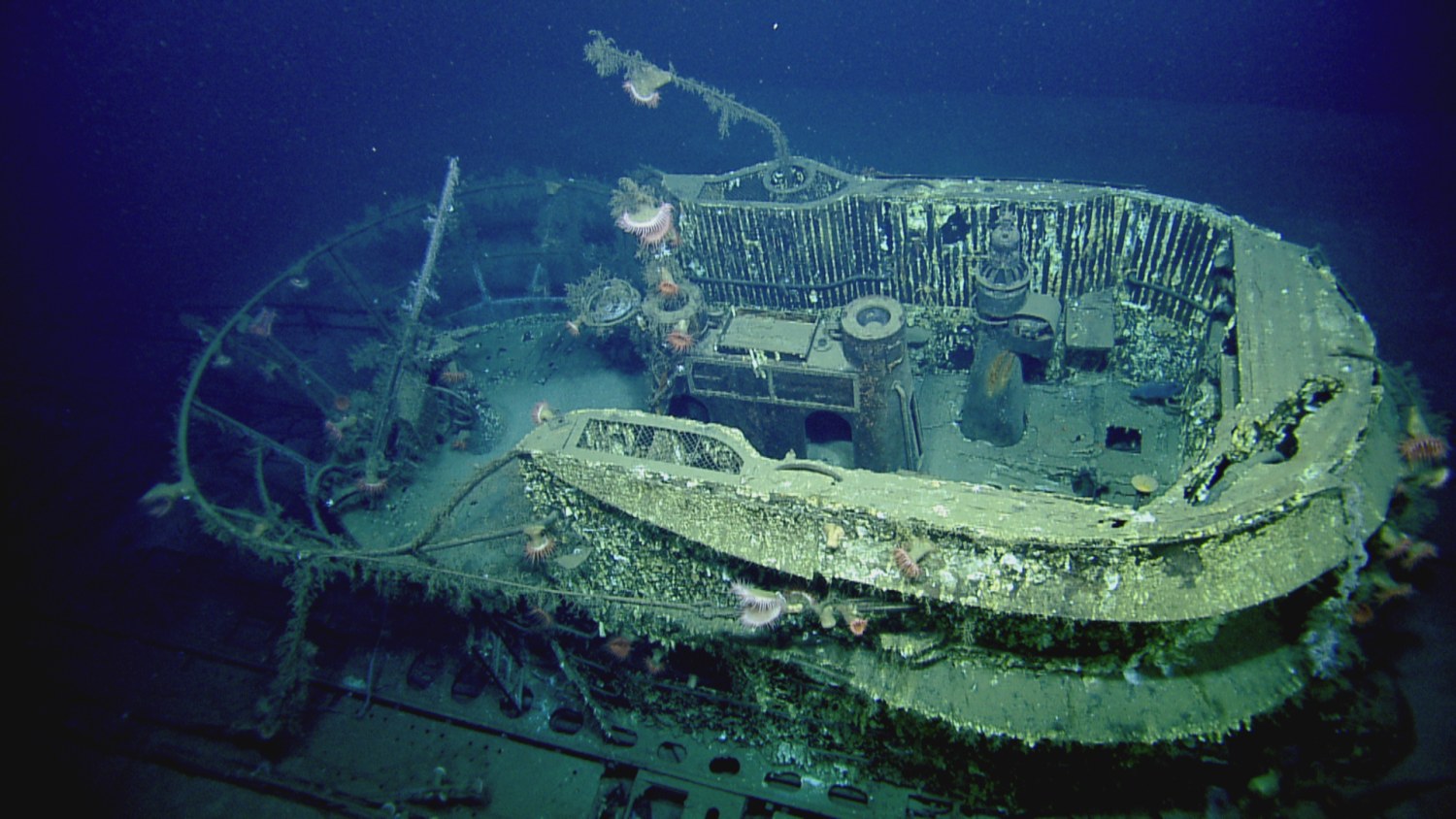 How An Expedition To Study A Sunken Nazi U Boat Rescued A Reputation