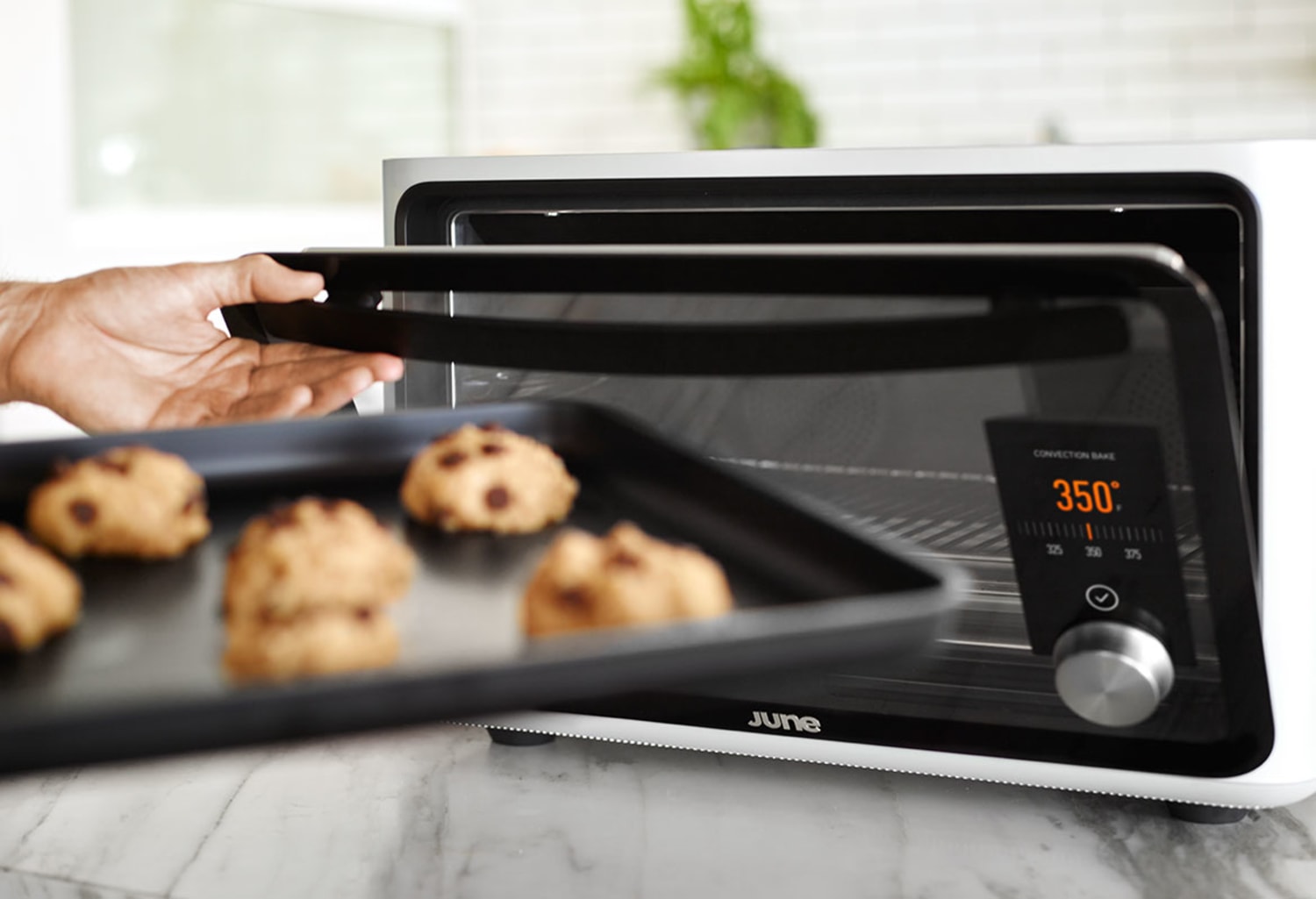 June returns with a cheaper smart oven for lazy cooks