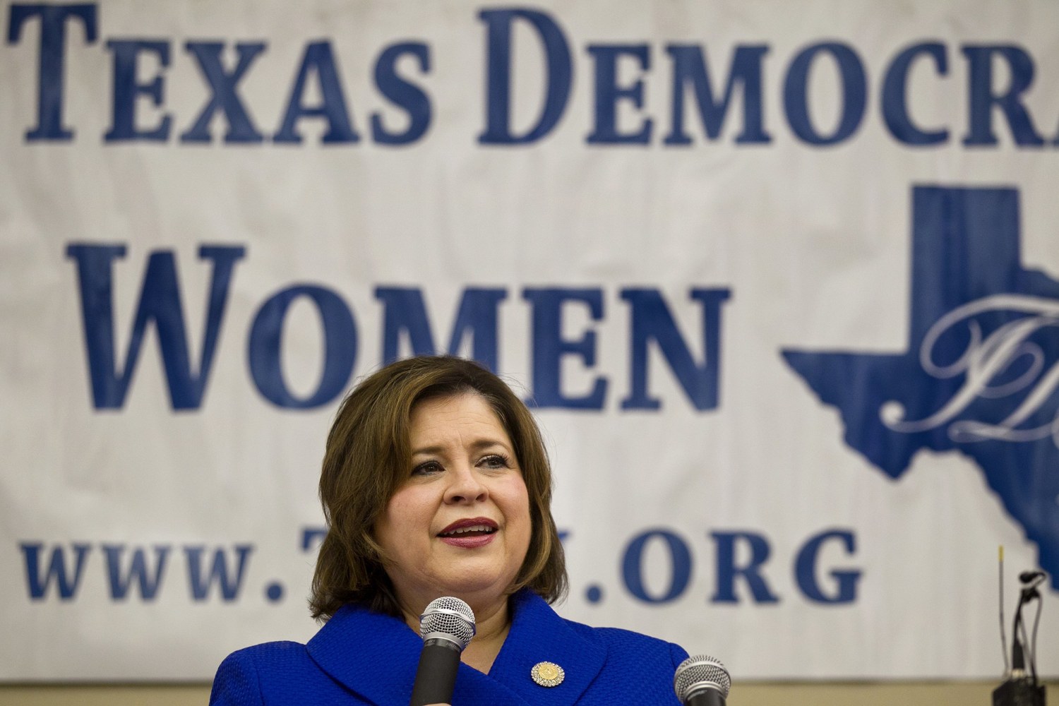 Leticia Van de Putte's Loss Dashes Hopes for Latino Mayors, Again