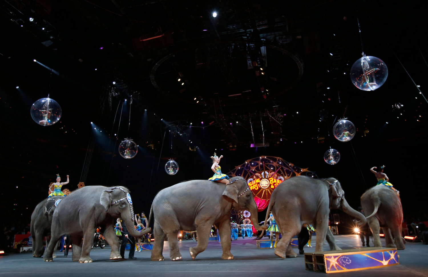 Ringling Bros. to Retire All Circus Elephants in May — 2 Years Early