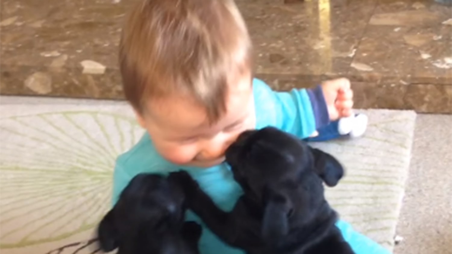 See This Baby Giggle As Puppies Clamber Over Him In Adorable Video