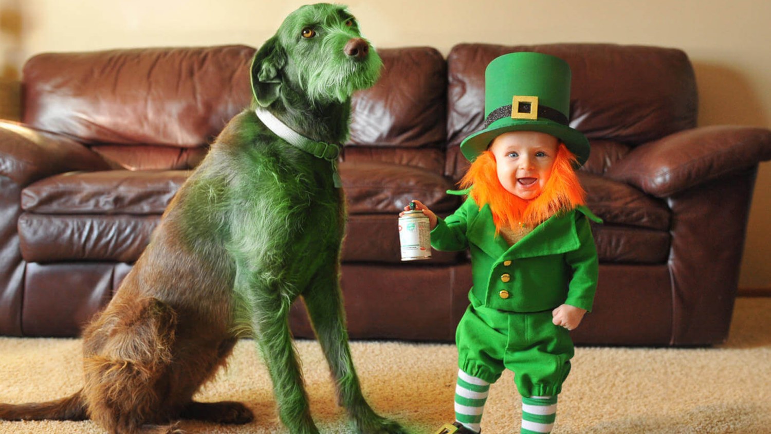 Why I will never, ever set a leprechaun trap - Today's Parent