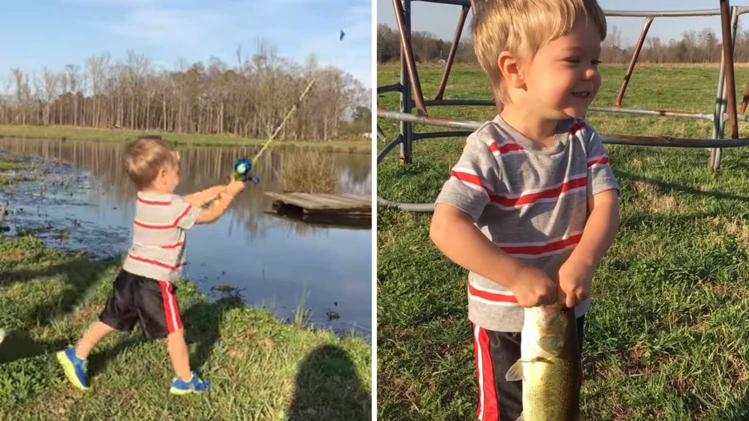Little boy catches fish with a toy rod: 'I got one!