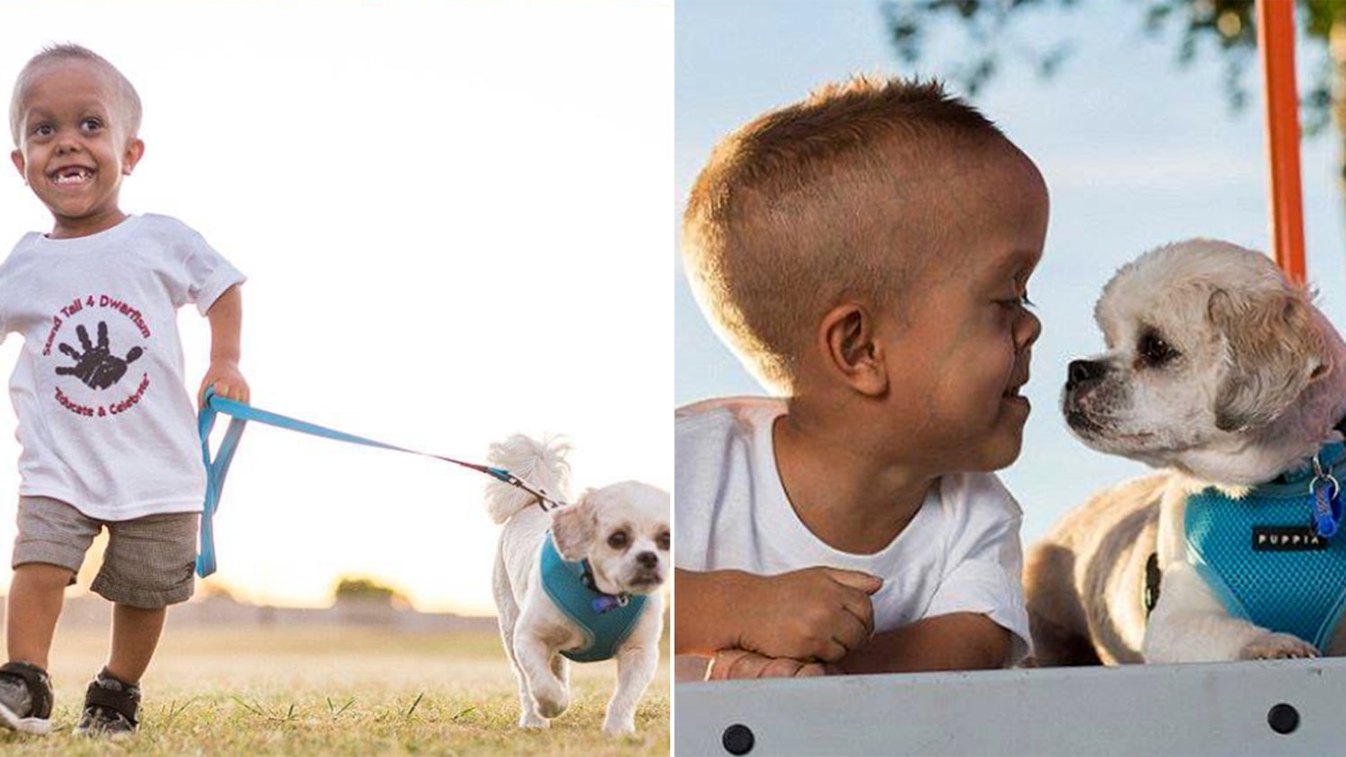 New dog helps 5-year-old boy with dwarfism stand tall to bullies