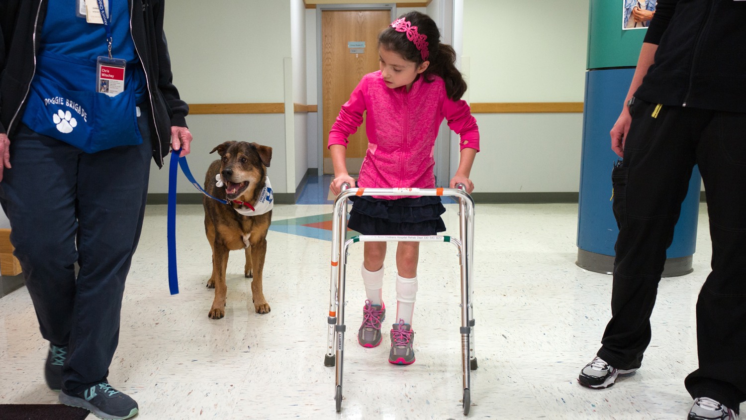Dogs with special needs help kids heal in physical therapy