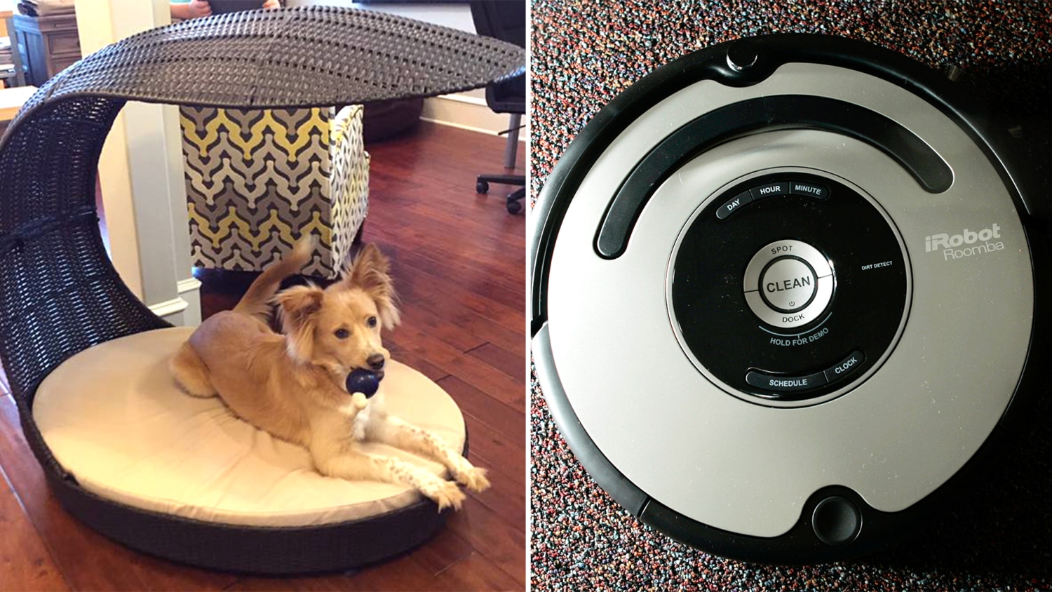When Roomba dog poop: Man's 'poopocalypse' goes viral