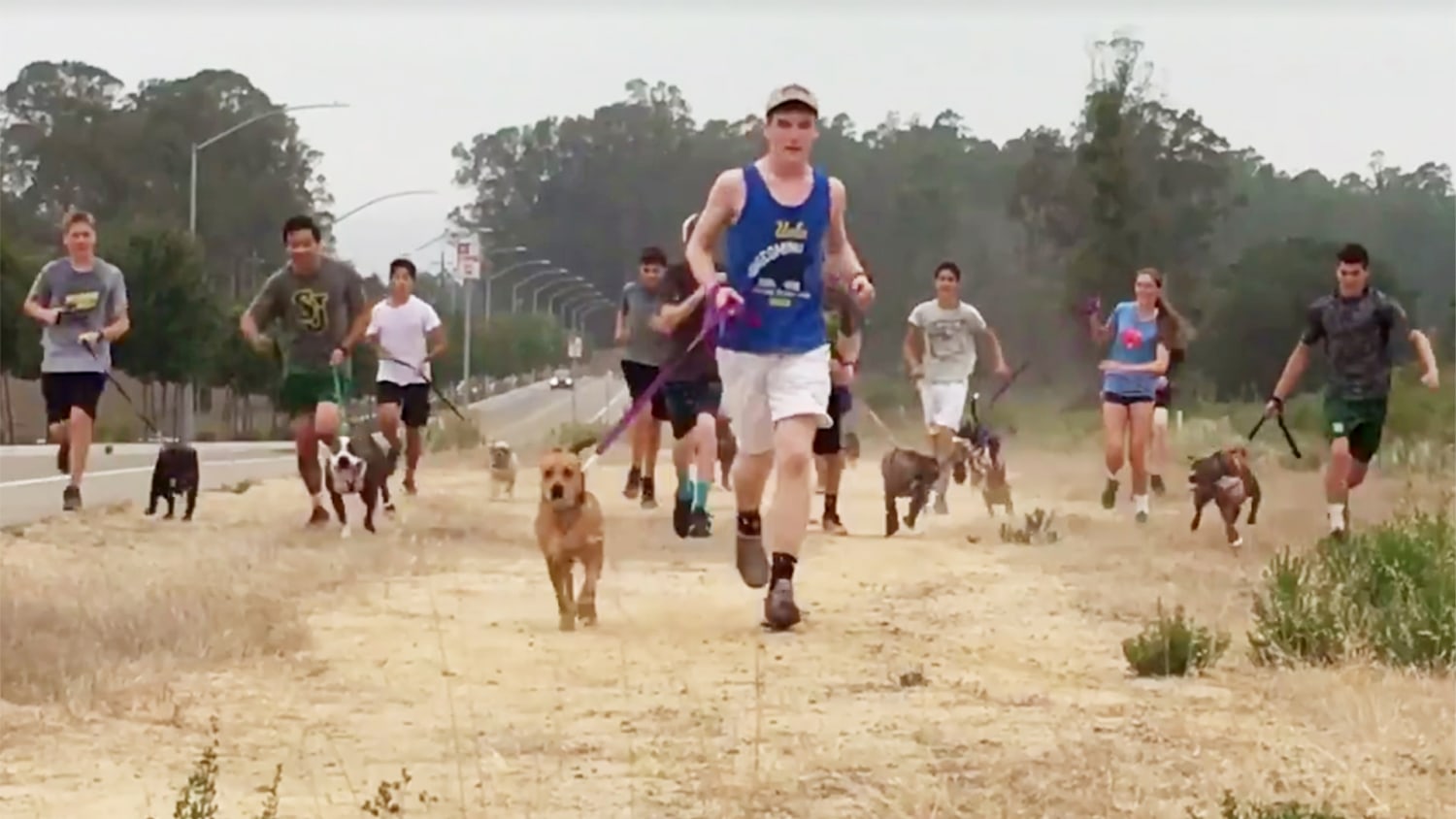 High school cross country team takes a joyous run with local shelter dogs