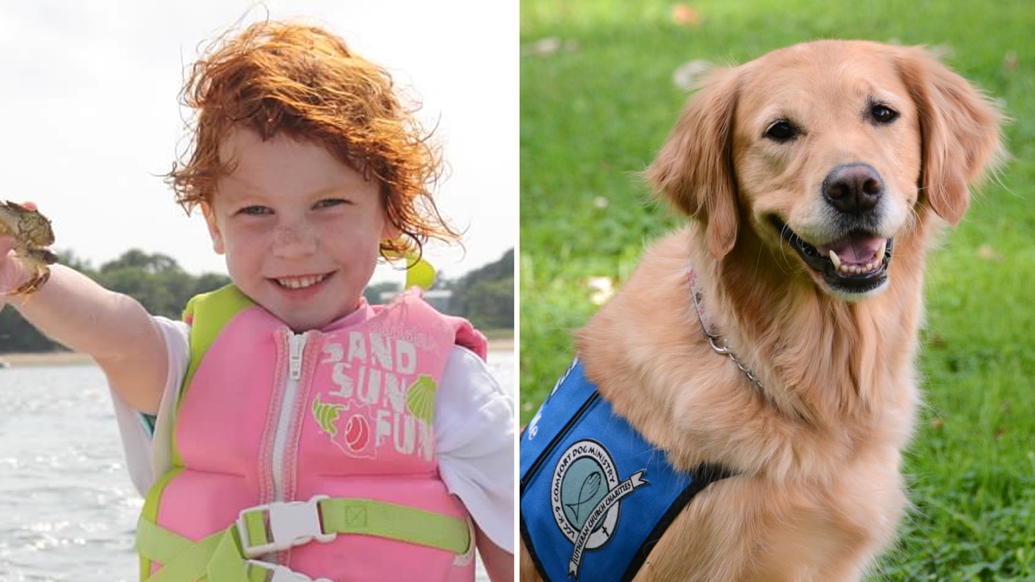 Sandy Hook Family Honors Comfort Dog Ruthie As Aspca Dog Of The Year