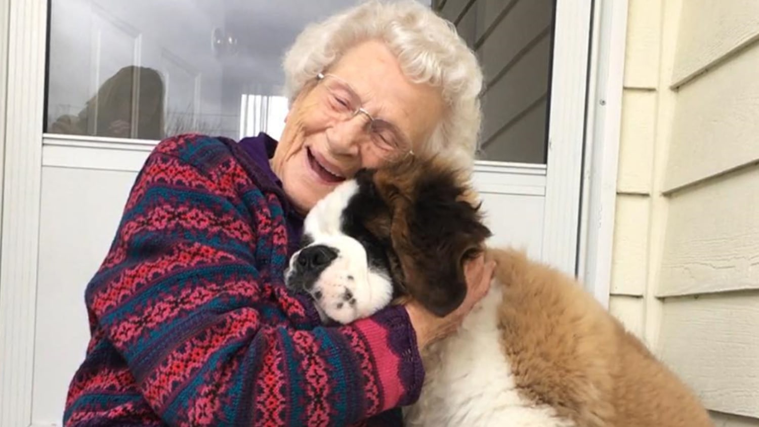 This adorable giant puppy has befriended his 93 year old neighbor