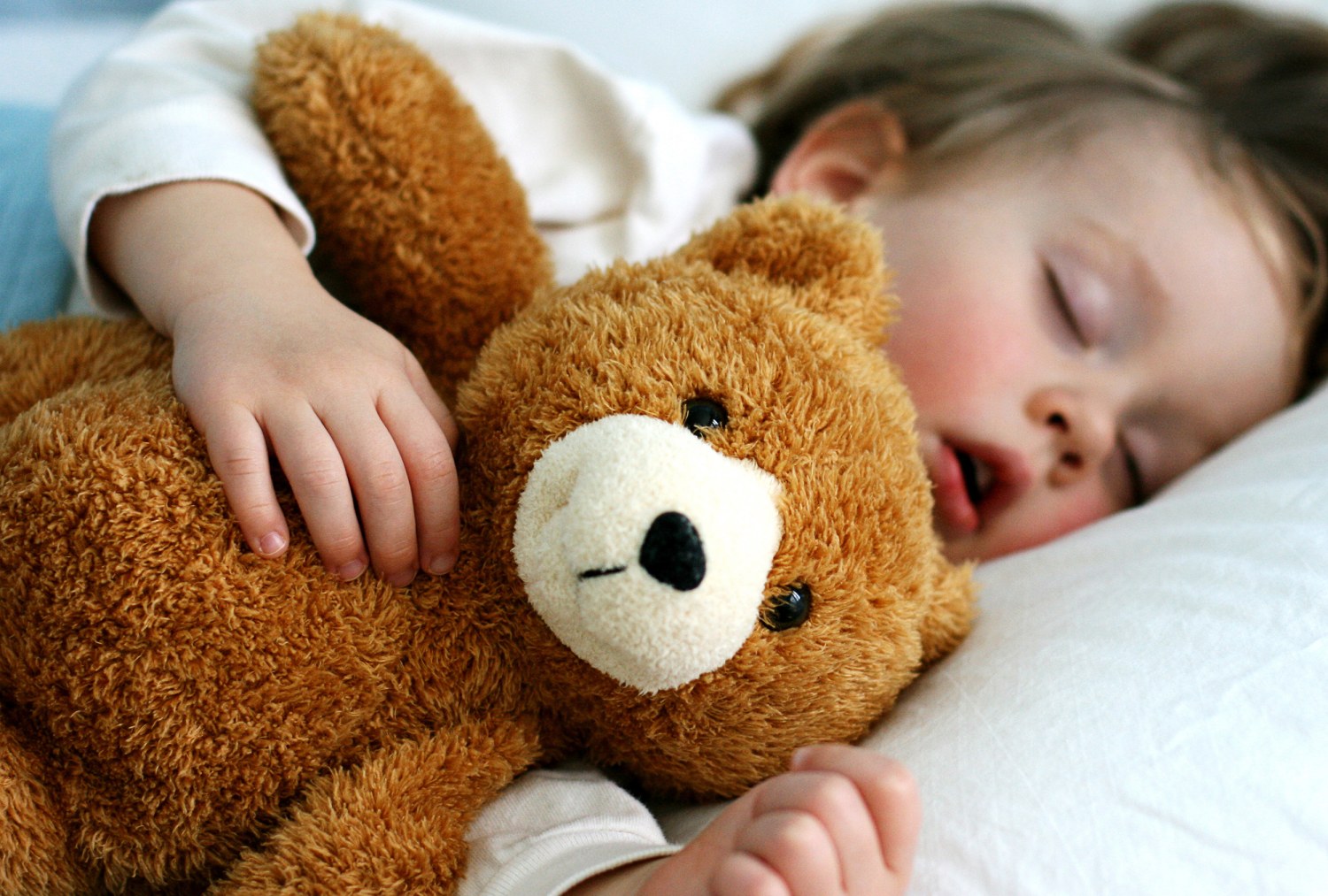 Sleeping with a stuffed animal as an adult is OK, experts say